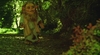 Filename=ScreenShot009.jpg
Filesize=171KiB
Dimensions=640x352
Date added=Jan 26, 2006 ScreenShot009.jpg