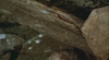 ScreenShot125.jpg