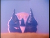 triceratops.jpg