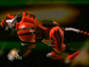 Filename=tiger.bmp
Filesize=768KiB
Dimensions=512x384
Date added=Jan 05, 2009 tiger.bmp