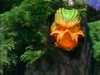 ScreenShot003.jpg