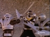 Filename=blackranger2.jpg
Filesize=25KiB
Dimensions=512x384
Date added=Jan 15, 2009 blackranger2.jpg