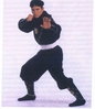 Mighty_Morphin_Power_Rangers_-_Adam_Black_Ninja_Ranger.JPG