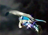 Filename=PRMF-PROMO7-019.jpg
Filesize=25KiB
Dimensions=319x236
Date added=Jan 27, 2006 PRMF-PROMO7-019.jpg