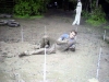 Filename=SPD-onset003.jpg
Filesize=66KiB
Dimensions=500x376
Date added=Jan 26, 2006 SPD-onset003.jpg