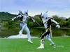 white_01.JPG