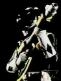 Filename=mmpr-poweraxe2.jpg
Filesize=2KiB
Dimensions=61x81
Date added=Mar 15, 2006 mmpr-poweraxe2.jpg