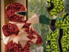 Filename=smc.png
Filesize=958KiB
Dimensions=384x288
Date added=Oct 03, 2006 smc.png