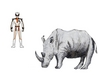 white_ranger.jpg